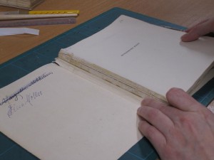 Mindernes Magt - før adskillelse